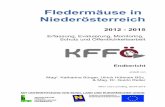 Fledermäuse in Niederösterreich - noe.gv.at · PDF fileals Schutzgüter im Standarddatenbogen angeführt. Gemäß Artikel 11 der FFH-Richtlinie ist der Erhaltungszustand der angeführten