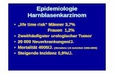 Epidemiologie Harnblasenkarzinom - uni-marburg.de · Epidemiologie Harnblasenkarzinom • „life time risk“ Männer 3,7% Frauen 1,2% • Zweithäufigster urologischer Tumor •