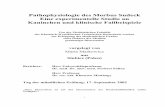 Pathophysiologie des Morbus Sudeck Eine experimentelle ...sylvester.bth.rwth-aachen.de/dissertationen/2002/178/02_178.pdf · (Kontusion, Distorsion, Fraktur) auf. Im Gegensatz zu