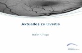 Aktuelles zu Uveitis - ukb.uni-bonn.deFILE/MFA_Uveitis_16_3_2016_RFinger.pdf · Uveitis Entzündung der inneren, pigmentierten und vaskularisierten Schicht des Auges (Uvea) •Häufige