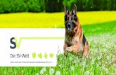 Die SV-Welt - schaeferhunde.de · Souverän. Einen gut ausgebildeten Deutschen Schäferhund bringt so leicht nichts aus der Ruhe, weil er sozial verträglich und im Wesen sicher ist.