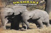 OKAMBARA Leaflet 2006 screen.pd · auf einer Safari durch den Etosha Nationalpark unterwegs sind, mit dem Rucksack durch den Fish River Canyon oder den Na- mib-Naukluft Park wandern,