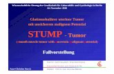 Glattmuskulärer uteriner Tumor mit unsicherem malignem ...ggg-b.de/_download/unprotected/storck_ac_stump_tumor.pdf · „Vollständig eingebetteter Uterus mit 3 mm großem, subserös