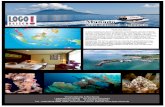 Veranstaltung & Buchung - logo-reisen.de · Tasik Ria Resort In einer malerischen Bucht eingebettet und versteckt zwischen Palmen, liegt das Tasik Ria Resort, die Heimat der Tasik