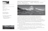 Die Alpen - die Flora am Gornergrat - botanikreisen.ch · Die Alpen - die Flora am Gornergrat Blühende Bergmatten, Botanische Spezialitäten, Überlebenskünstler in Schutt und Eis