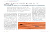 Potenziell korrosiver Schwefel in Isolierölen - static.fkh.ch · PRAXIS TRANSFORMA TOREN EN PRATIQUE TRANSFORMA TEURS Bulletin 12 / 2014 85 Potenziell korrosiver Schwefel in Isolierölen