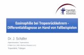 Eosinophilie bei Tropenrückkehrern - Differentialdiagnose ... · Eosinophilie Einteilung Eos / µl Normal
