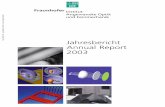 IOF Jahresbericht 2003 - iof.fraunhofer.de · Hochleistungs-Faser- und Wellenleiterlaser 100 Namen, Daten, Ereignisse 104 Patente 108 Bildungsaktivitäten 110 Messebeteiligungen 111