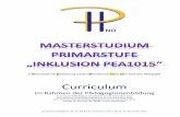 Curriculum - Pädagogische Hochschule Niederösterreich · (= Primarstufe mit Erweiterung auf den Altersbereich 10 bis 15 in Inklusiver Pädagogik) Curriculum im Rahmen der PädagogInnenbildung