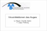U. Pleyer, Charité, Berlin T. Lapp, Freiburg · Gliederung: Virale Erkrankungen des Auges – Herpes simplex (HSV) - Keratitis Lapp – Varicella Zoster (VZV) - Keratitis Pleyer