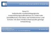 Prof. Dr. Erhard Fischer und PD Dr. Christoph Ratz · (z.B. LP Berlin, Wember) Parallele individuelle Curricula (z.B. SirIus) 39 (Ratz, in Druck) Gemeinsames Rahmenthema Je nach Möglichkeit