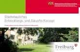 Städtebauliches Entwicklungs- und Zukunfts-Konzept · Städtebauliches Entwicklungs- und Zukunfts-Konzept Freiburg-Haslach zwischen Uffhauser Straße und Feldbergstraße Flächen