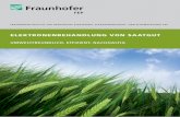 ELEKTRONENBEHANDLUNG VON SAATGUT - fep.fraunhofer.de · fraunhofer-institut fÜr organische elektronik, elektronenstrahl- und plasmatechnik fep. elektronenbehandlung von saatgut.