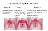 Typische Angina pectoris - bayerischerinternistenkongress.de · Typische Angina pectoris Was? Druckschmerz Engegefühl Brennen Wo? Brustbein linke Brustseite Ausstrahlung Rücken