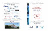 4. Homburger Glaukom-Symposium HGS 2013 · Grenzen und Möglichkeiten des SD-OCT bei Glaukomen Prof. Dr. C. Mardin Erlangen Hochauflösende Optische Kohärenztomographen wie das Spectral-Domain-OCT