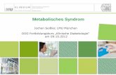 Metabolisches Syndrom - buster.zibmt.uni-ulm.debuster.zibmt.uni-ulm.de/dpv/dateien/alte Dokumente/ddg-downloads-teil1/Seissler... · Medizinische Klinik und Poliklinik IV KLINIKUM