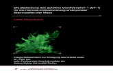 Die Bedeutung des Zytokins Cardiotrophin‐1 (CT‐1) für die ...geb.uni-giessen.de/geb/volltexte/2015/11468/pdf/MascheckLena_2015_04_17.pdf · CTF1 Cardiotrophin-1 Gen Symbol Cy
