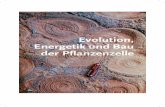 Evolution, EnergetikundBau der Pflanzenzelle · 1 Einstieg in die Biologie pflanzlicher Zellen 1.1 Die Progenoten und die Evolution dreier grundlegen-der Erfordernisse des Lebens