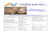 Angebote des Sozialwerks der Bundesfinanzverwaltung · Stand: 23.09.2016 3 Ferienanlage „Alatsee“ Füssen / Allgäu Je Haustier 4,00 € pro Tag in einer Ferienwohnung für bis
