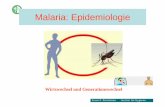 Wirtswechsel und Generationswechsel - static.uni-graz.at · Franz F. Reinthaler Institut für Hygiene Malaria: Erreger Plasmodium falciparum (M. tropica) Plasmodium vivax (M. tertiana)
