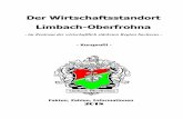 Der Wirtschaftsstandort Limbach-Oberfrohna11/der... · 2 Gebiet und Bevölkerung (zum 31.12.2017) 50,21 km² Fläche 24.408 Einwohner 480 Einwohner je km² 7 Stadtteile (Limbach,