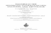 HANDBUCH'DER SPEZIELLEN PA THOLOGISCHEN …978-3-642-48005-8/1.pdf · handbuch'der speziellen pa thologischen anatomie und histologie begrondet von o. lubarsch und f. henke fortgefohrt
