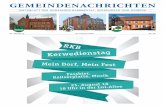 GN KW32 2018 - wiesenbach-online.de · durch die sogenannte Hyperthermie gefährdet sind“, erläutert Dr. Welker. Im Jahr 2003 war es zu einer mehrwöchigen Hitzewelle mit konstanten