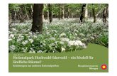 Mainz, 09.11.12 Nationalpark Hochwald-Idarwald –ein Modell ... · • von 2008-2006 fachl. Leitung F+E Vorhaben „Entwicklung von Qualitätskriterien und – Leitung F+E Vorhaben