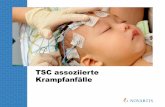 TSC assoziierte Krampfanfälle - cme.medlearning.de · – 75,4% der Patienten mit infantilen Spasmen entwickelten eine refraktäre Epilepsie – Anfallsverlauf, infantile Spasmen,