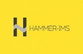 Hammer-IMS - hofer-vliesstofftage.de (18).pdf · Hier foto van productielijn Begrenzte Lebenszeit des Isotops (Kr-85: 10.7 Jahre) oder Röntgenröhre (z.B. 5 Jahre) – Teuer zu tauschen