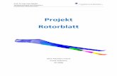 Rotorblatt - HSB Startseite · Prof. Dr.-Ing. Uwe Reinert Strukturmechanik und Simulation Fachbereich Maschinenbau Seite 2 Als Pre‐Prozessor wird MSC.Patran® 2005 genutzt.