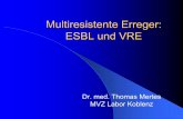 Multiresistente Erreger: ESBL und VRElabor- · PDF filePenicillin, Oxacillin, Makrolide, Lincosamide, Glykopeptide, Fusidinsäure. Resistenzmechanismen: 2. Erworbene Resistenz Resistenzmechanismen,