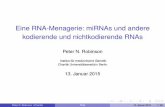 Eine RNA-Menagerie: miRNAs und andere kodierende und ...compbio.charite.de/tl_files/groupmembers/robinson/09rna.pdf · Eine RNA-Menagerie Zahlreiche Klassen von RNA Es folgt zunächst