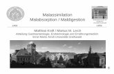 Malassimilation Malabsorption / Maldigestion · qualitativ:funktionell nicht kompensierbare Darmabschnitte 2 Typen ... (Vitamin A) ... Cholezystolithiasis(verminderte Gallensalzresorption)