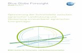 Blue Globe Foresight - klimafonds.gv.at · Blue Globe Foresight Studie #5/2011 BOKU Institut für Sicherheits- und Risikowissenschaften Optimierung der Schnittstelle zwischen agrarischer