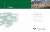 Wald - .Inhalt Wald in der Steiermark Schutzwald in der Steiermark Schadeinfl¼sse auf den Wald Schadstoffbelastung