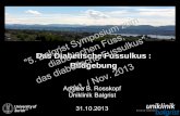Symposium zum Fuss, Das Diabetische Fussulkus : das ... · - Cellulitis Phlegmon Abszess . Ref.: Donovan A. and Schweitzer M., Radiographics 2010;30:723-736 . stir KM stir stir "5.