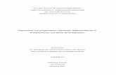 Expression von prognostisch relevanten Glykostrukturen in ...ediss.sub.uni-hamburg.de/volltexte/2008/3536/pdf/DoktorarbeitKatharinaSchmitz.pdf · LP Lektinpuffer Mamma-Ca Mammakarzinom