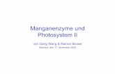 Manganenzyme und Photosystem II 2 - fh-muenster.de · Gang Wang & Raimar Broser 18 4 Bedeutung der Manganenzyme 4.1 Mangan in Metalloproteine • In Metalloproteinen (ca. 30% der