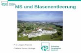 MS und Blasenentleerung - spina-hydro.chspina-hydro.ch/wp-content/uploads/2015/09/Inkontinenz-Vortrag-von-Prof... · •Wirkung ca. 3 Monate. Überaktive Blase / Dranginkontinenz