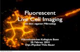 Fluorescent Live Cell Imaging - mikroskopie-bonn.de · Thilo Bauer, 2013 Fluorescent Live Cell Imaging mit dem eigenen Mikroskop Zellen: Organellen & Biochemie Bildschärfe und Möglichkeit