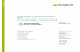 Policy Paper 3: Rohstoffspezifische Ziele Deutschland 2049 ... · Teilnehmer aus Politik, Wissenschaft, Industrie und NGOs flossen in die weitere Arbeit ein. Die wesentlichen Arbeitsschritte