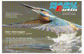 Naturschutz- Ausgabe 11 Nachrichten aus Januar 2009 Eutin und · Das werden Sie bei Ihrer Lektüre des Arti-kels über den geplanten Umgang mit hochwertigen Amphibien-Lebensräumen