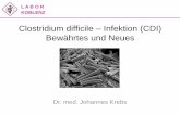 Clostridium difficile Infektion (CDI) Bewährtes und Neueslabor-koblenz.de/wp-content/uploads/2012/08/Cl.-difficile.pdf · Ursachen –~ 40 % direkte NW von Antibiotika –~ 40 %