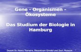 Gene - Organismen - Ökosysteme Das Studium der Biologie in ... fileGenetik – Molekularbiologie. 6. 7 ... Powerpoint, Photoshop Argumentieren, Vortragen, Prüfungen Durchstehen.