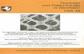 Geologie und Paläontologie in Westfalen - lwl.org · (1992) fügte dem hinzu, daß die äußere Morphologie bei diesem Taxon im Verlauf der ontogenetischen Entwicklung weitgehend