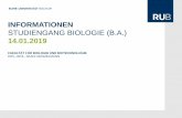 INFORMATIONEN · informationen. studiengang biologie (b.a.) 14.01.2019. fakultÄt fÜr biologie und biotechnologie. dipl.-biol. skadi heinzelmann