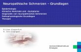 Neuropathische Schmerzen - Grundlagenpaincourse.com/upload/pdf-a-16/Likar-Sittl-Neuropathische-Schmerzen... · Neuropathische Schmerzen - Grundlagen Epidemiologie Klinische Merkmale
