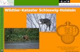 n e Wildtier-Kataster Schleswig-Holstein s o H g w h S r · W i l d t i e r k a t a s t e r S c h l e s w i g-H o l s t e i n Wer ist das WildTierKataster Institut f. Natur- & Resourcenschutz