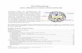 MindMapping – eine effektive Unterrichtsmethode · MindMapping – eine effektive Unterrichtsmethode Mindmaps bilden die Denkstrukturen des menschlichen Gehirns in vielen Fällen